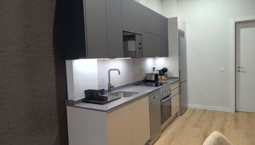 Apartamentos Catedral III - Foto 4, stove