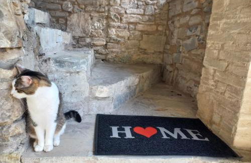 Il nido di Matilde - Foto 23