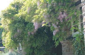 The Hide at Lemons Farm - Foto 13