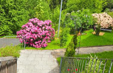 Klein Waldseele - Foto 23