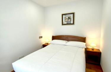 Grand Plaza Vega Centro Histórico de Burgos - Foto 43