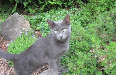 Boutique Apartment - Photo 32