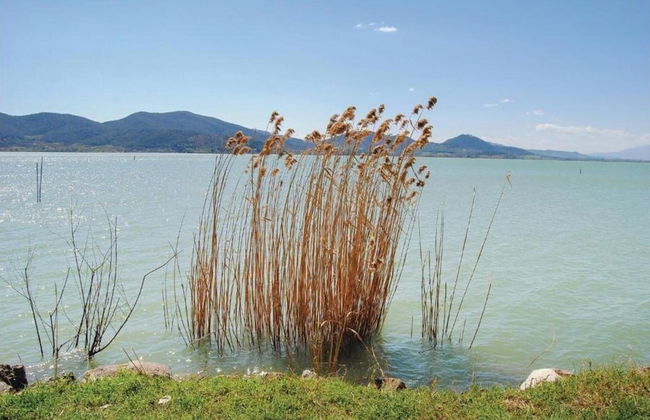 Villa in Umbertide With Pool and Garden - Foto 34