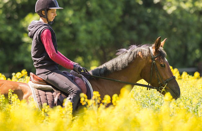 Passeio a cavalo por Alcudia - Foto 6