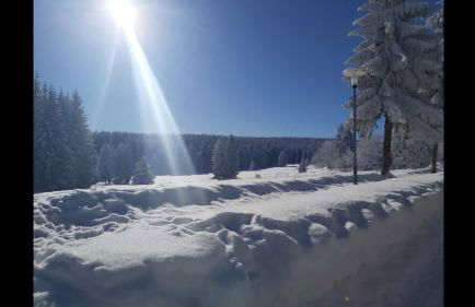 Ferienwohnung Grunwald - Foto 21