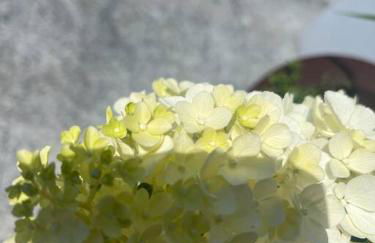 Come a casa - Foto 17