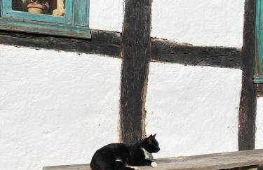 Apartament 9 Nina - Dębina - Foto 63