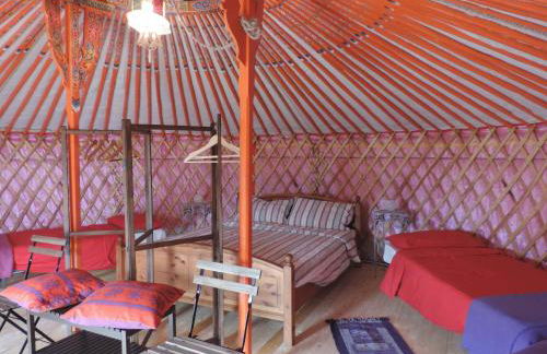 Società Agricola Cacigolara - Photo 136