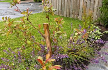 ADI Holiday Home Lurgan - Foto 43