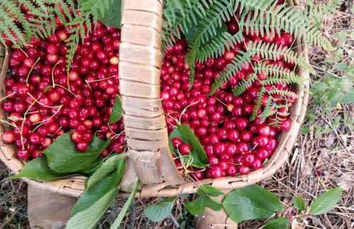 Casa Cerro da Correia - Foto 54