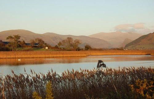 Caer Dderwen Oak Field family home in Dolgellau - Foto 50