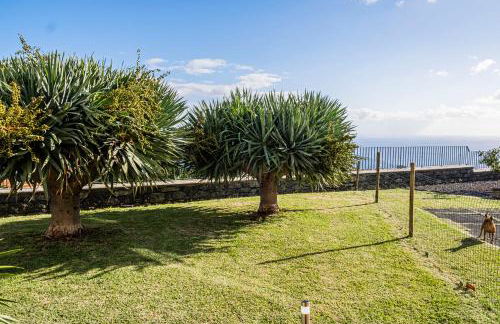 Namastê House II - Foto 38