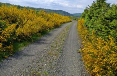 Hochwald Balkon - Foto 34