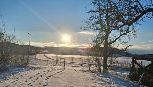 Tinyhaus Lara - Foto 5