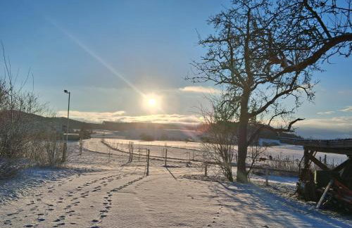 Tinyhaus Lara - Foto 5