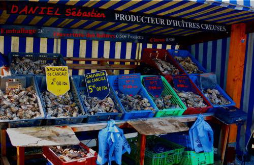 STUDIO CANCALE - PORT DE LA HOULE - classé 2 étoiles - Foto 13