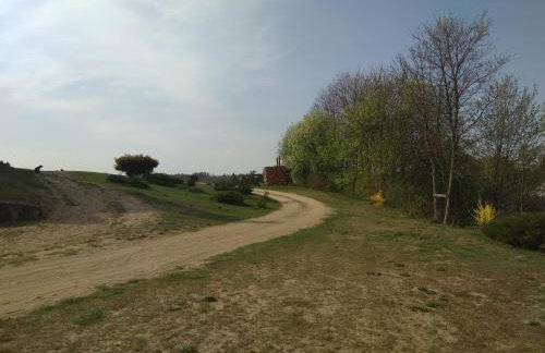 Mazurska Knieja - Foto 36