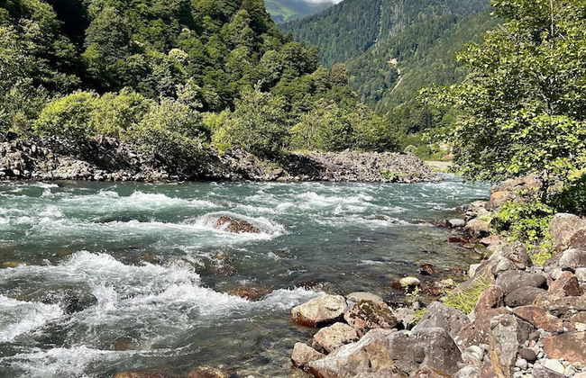 Meydan Şelale Dağ Evi - Foto 51