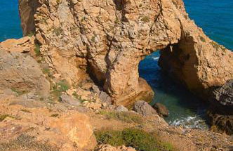 La Caña de España - Foto 36