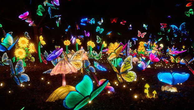 Navidades Mágicas Park Tickets - Photo 5, Make the most of the festive season