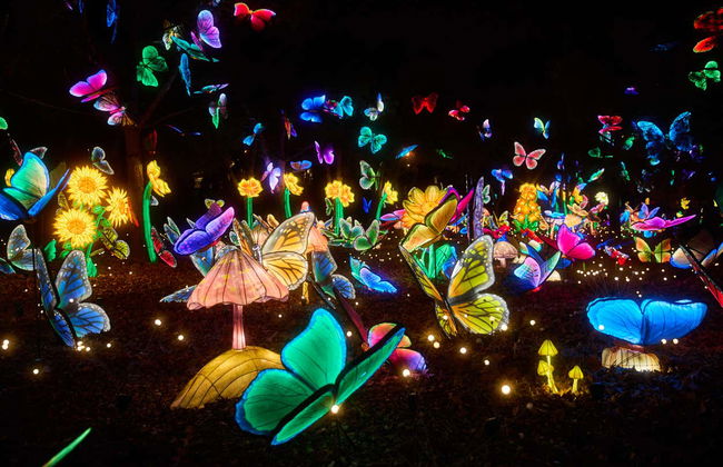 Ingresso do Mágicas Navidades de Torrejón de Ardoz - Foto 6
