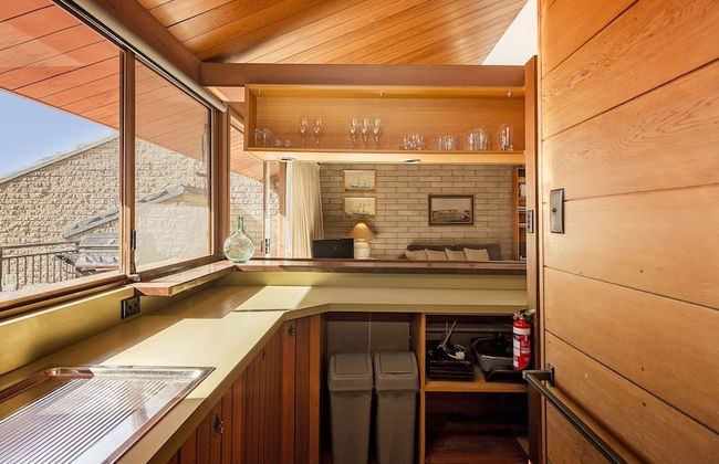 Grey Kangaroo- On Lake Jindabyne foreshore - Foto 9