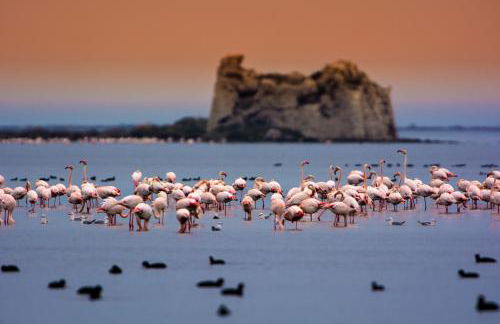 Lo Trabucador Casa nueva en el corazón del Delta - Foto 62