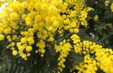 Cosy Studio Mezzanine 2 personnes Plage de Mardi Gras le Vieil - Foto 52