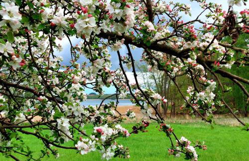 Ferienhaus Britta Kietzmann - Foto 31