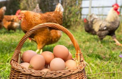 La Maison Patricia - Foto 18