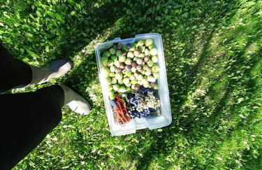 Quinta da Peça Douro Wine Region Retreat, Private Pool Villa - Foto 60