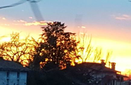 Villa Mainardi Agriturismo - Foto 26