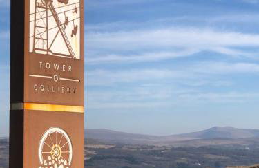 Herbert Place - Foto 45