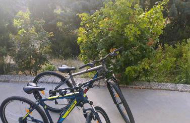 Villa Vitsilias under the cretan sky - Photo 51