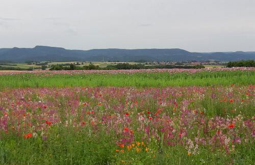 Ferienwohnung Renke - Foto 13