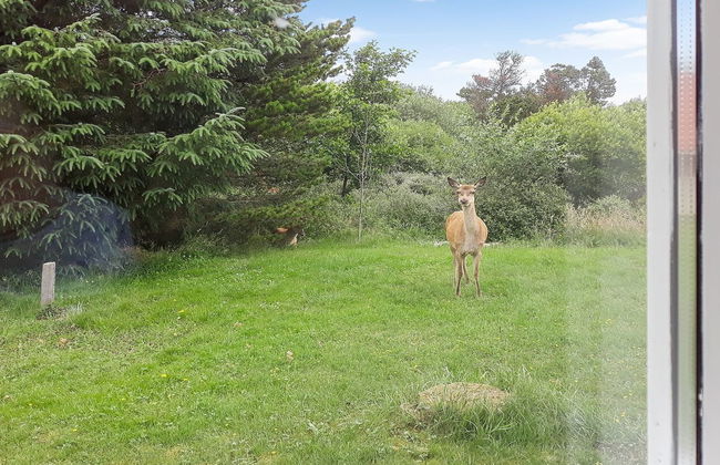 "Solborg" - 400m from the sea - Foto 18