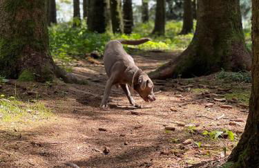 Auszeit Bergliebe - Foto 24