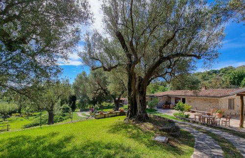 Pie' d'Ulivo - Foto 50