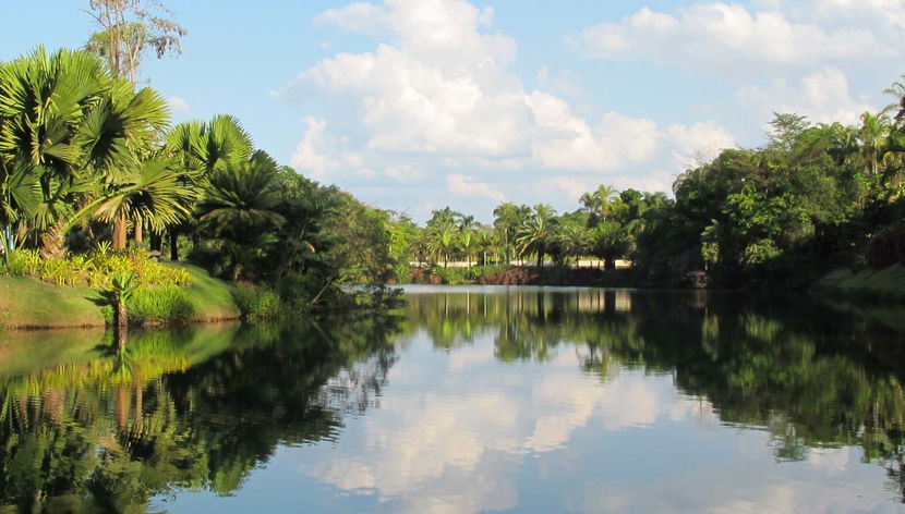 Day Trip to the Inhotim Institute