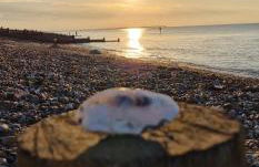 Ashdale By Sea - Foto 22