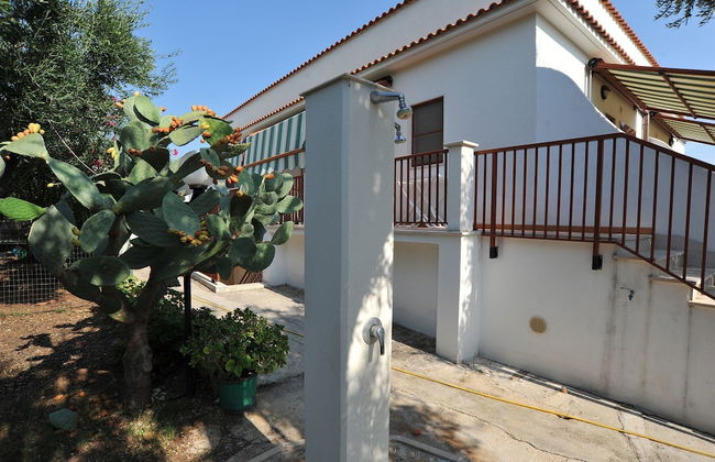 B&B Lido dei Pini - Photo 36