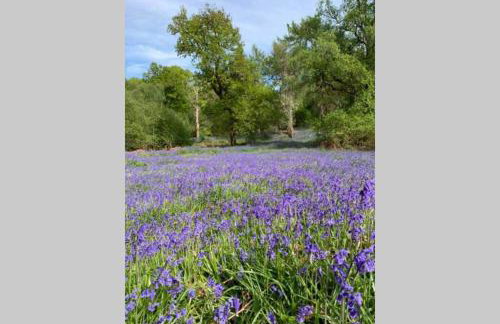 Creag Mhor Self Catering Holiday Apartment - Foto 18