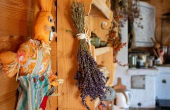 Zacisze Babci Ludwisi w Beskidzie Niskim - Photo 15