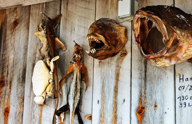 5 Person Holiday Home in Vagland - Photo 27