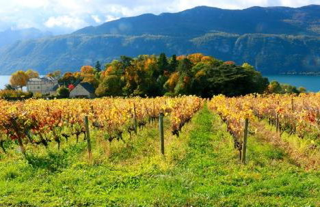 La Brison-T'Inn - Foto 24