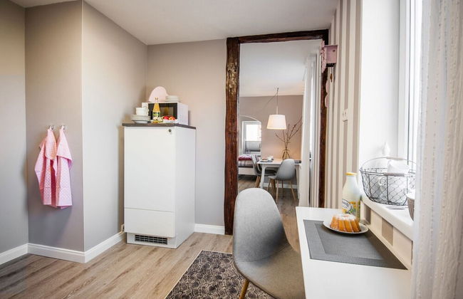 Apartment in Harz With Terrace and Fireplace - Photo 5