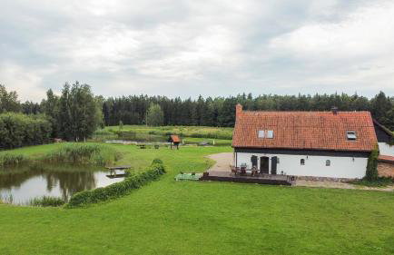 Siedlisko Maria - Foto 65