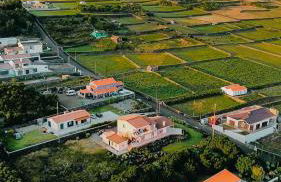 Apartamento Bela Vista Ilha Terceira - Photo 32