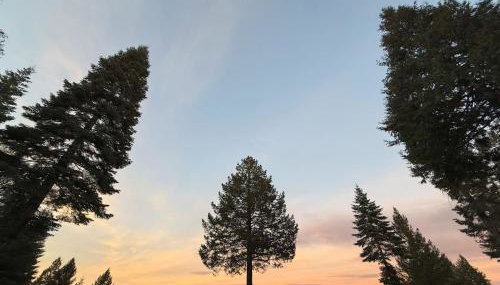 Breathtaking View Nevada City - Foto 2
