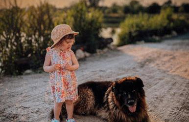 Kraina Poraj - Foto 62